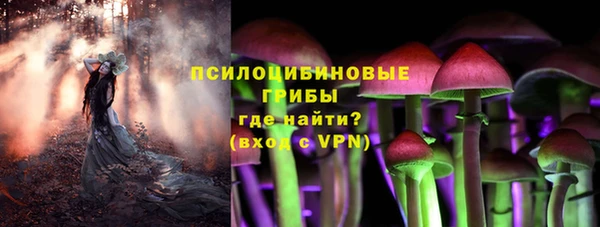 мет Касимов