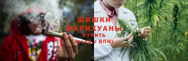 шишки Белоозёрский