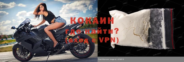 шишки Белоозёрский