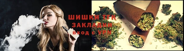 шишки Белоозёрский
