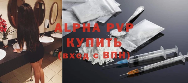 шишки Белоозёрский