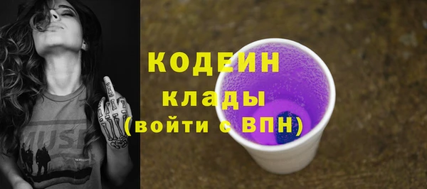 шишки Белоозёрский