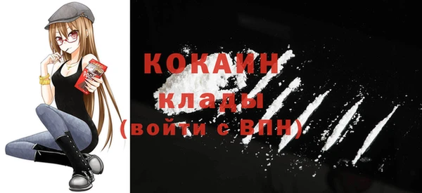 шишки Белоозёрский