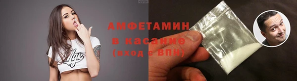 шишки Белоозёрский