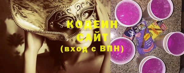 шишки Белоозёрский
