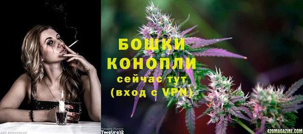 дмт Белокуриха