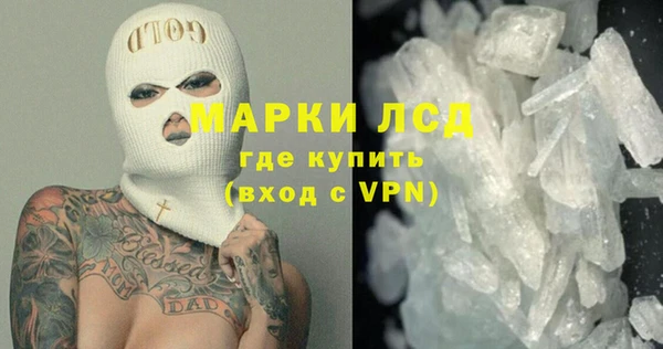 шишки Белоозёрский
