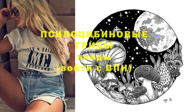 дмт Белокуриха