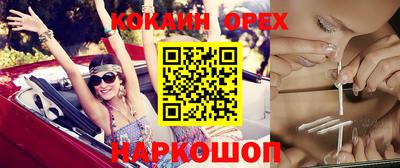 крисы Гай