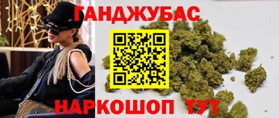 Альфа ПВП Гатчина