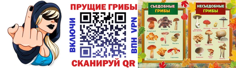 цены   Коммунар  Галлюциногенные грибы мицелий 